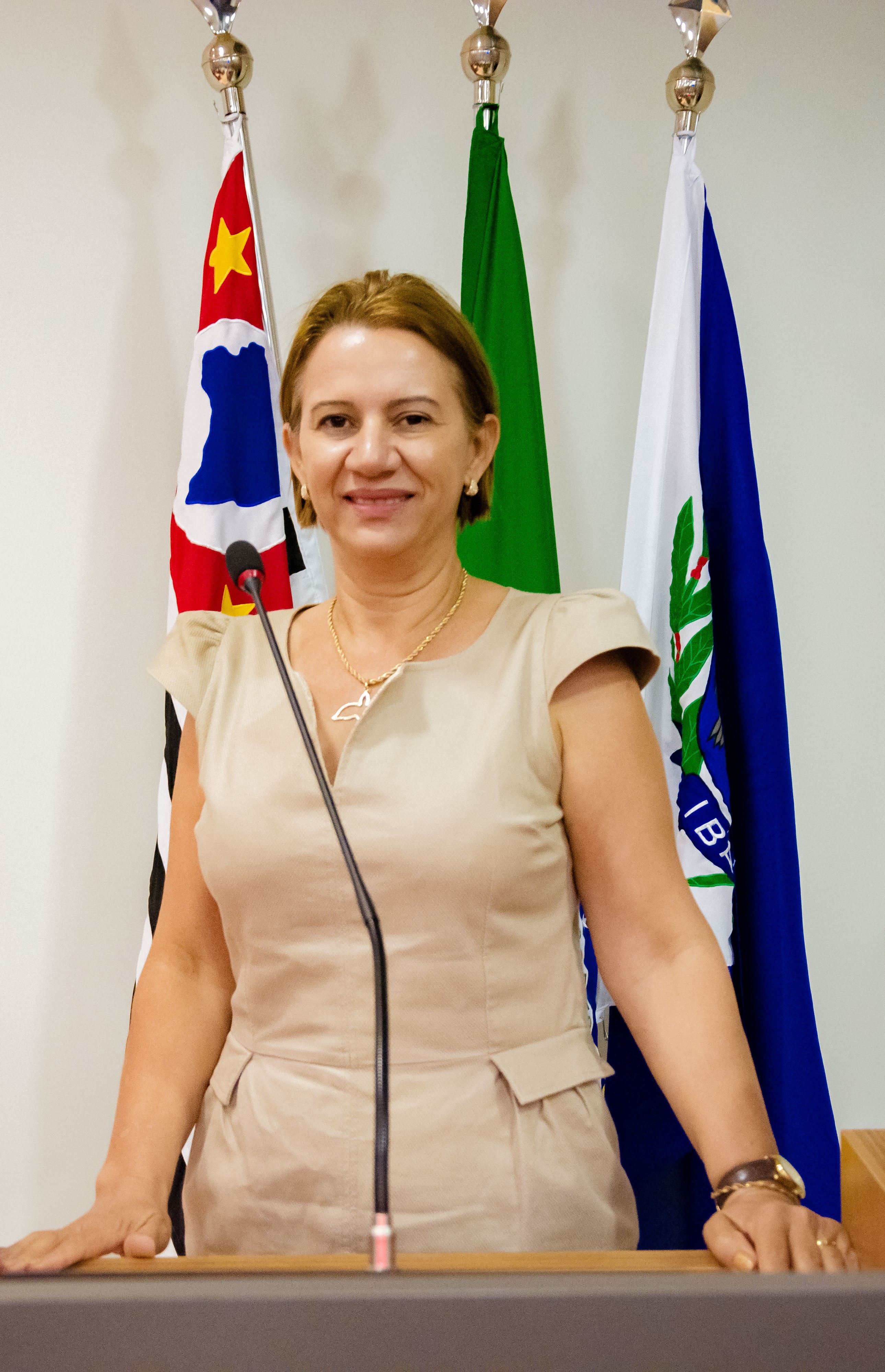 Ivani Almeida da Silva