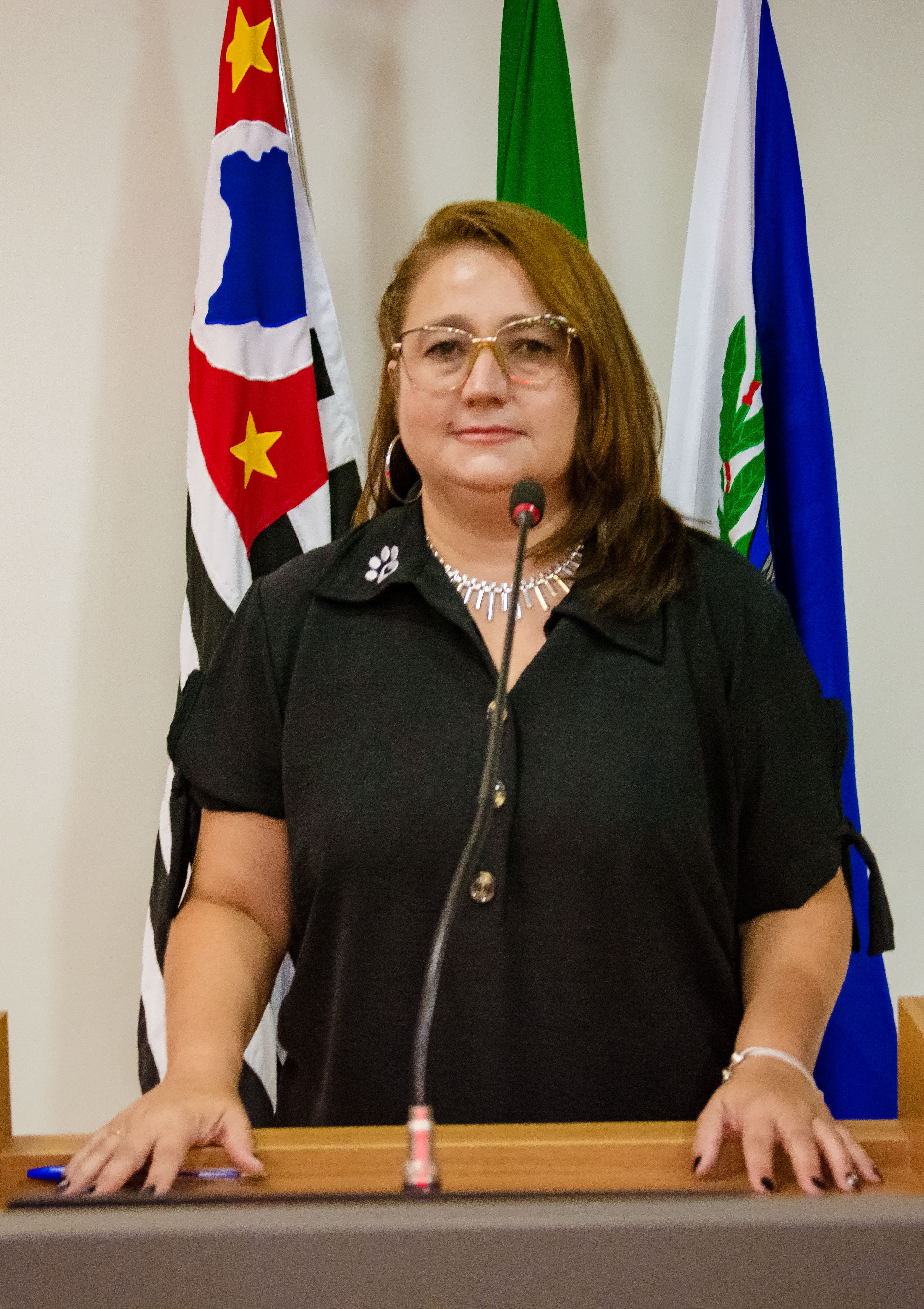 Viviane Serafim Makiyama